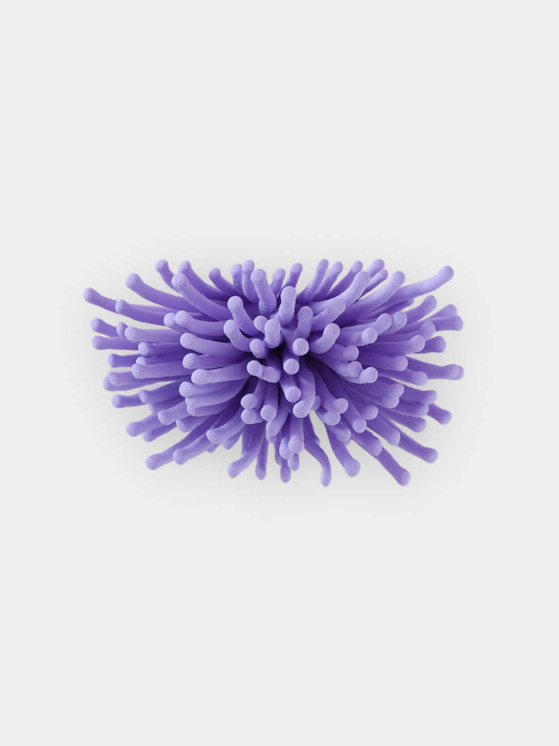 Anemone | Wall Mounted