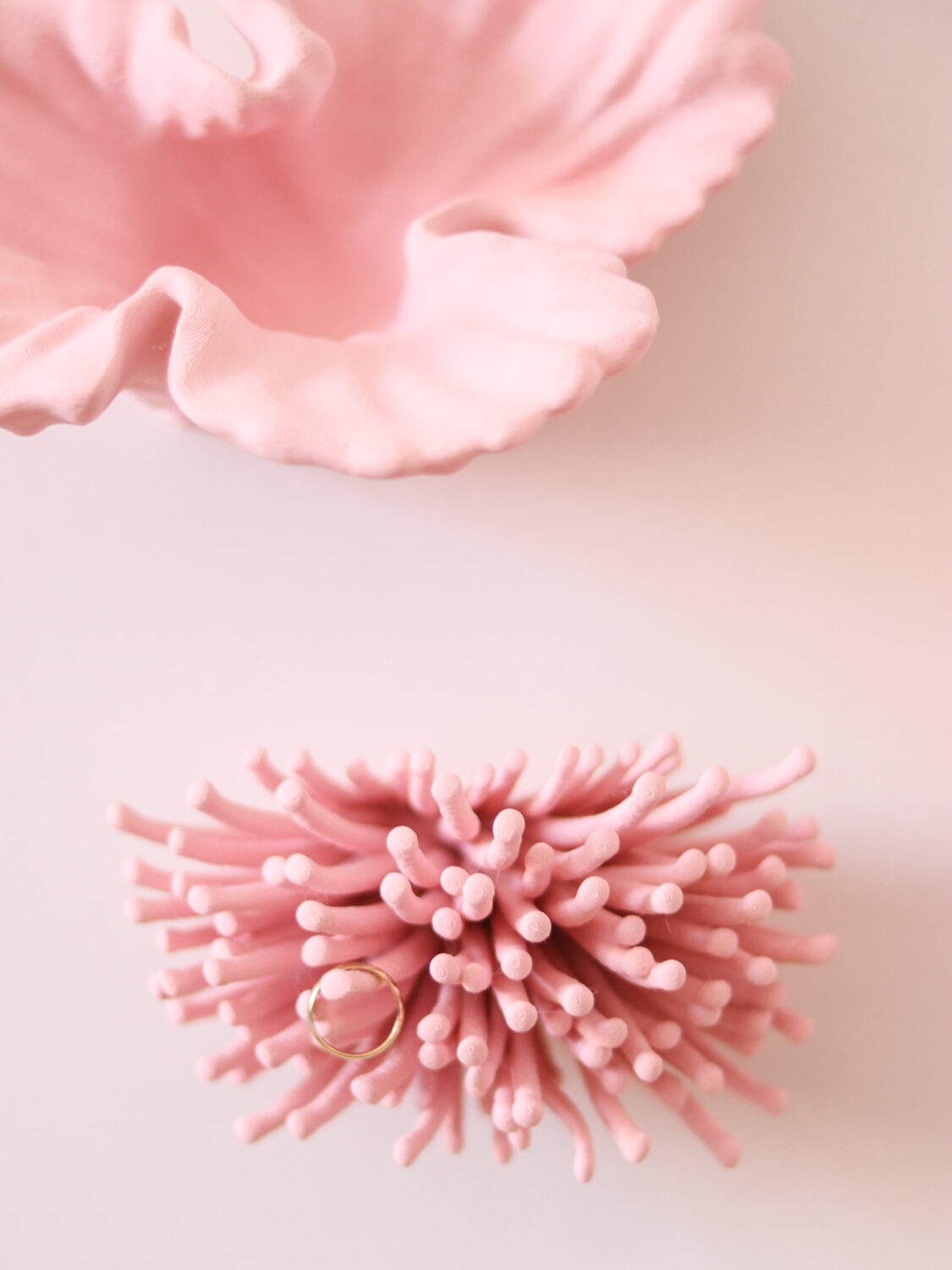 Anemone | Wall Mounted