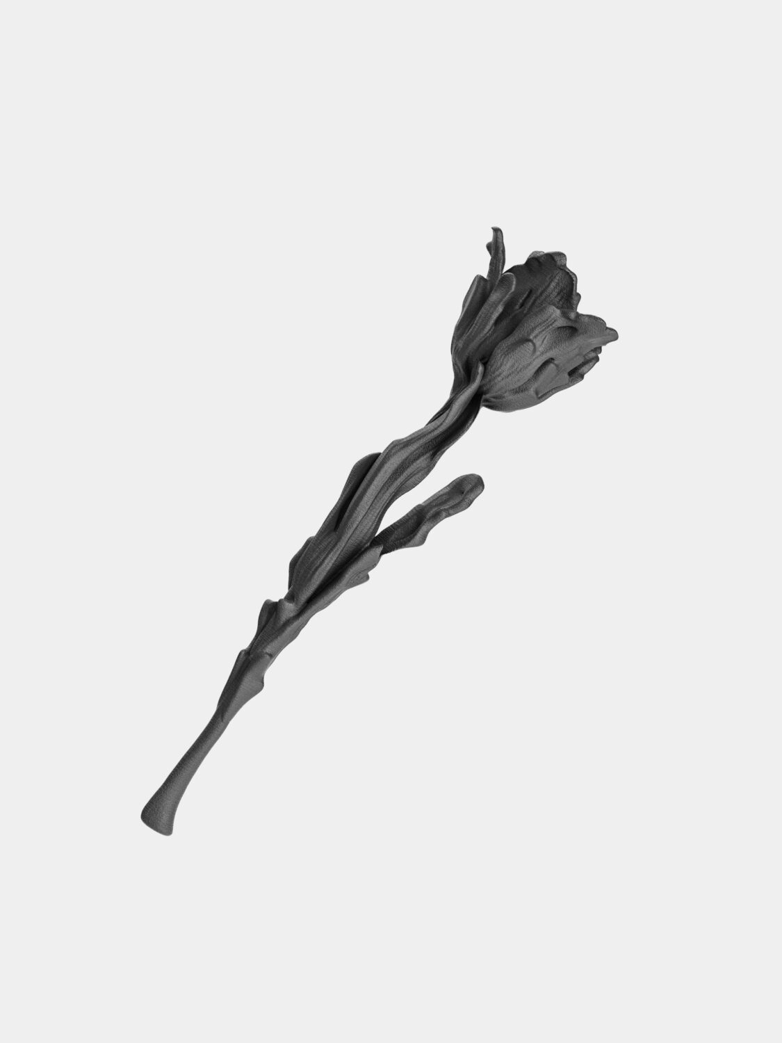 Tulip Free 3D model